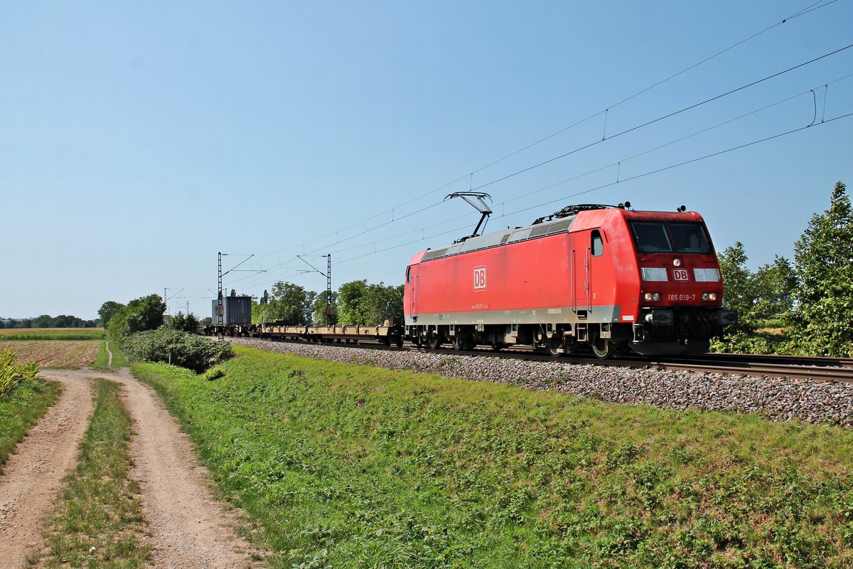 Am 31.08.2015 bespannte 185 019-7 einen Containerzug von der Schweizer Grenze in Richtung Norden, als sie bei Hügelheim gen Freiburg fuhr.