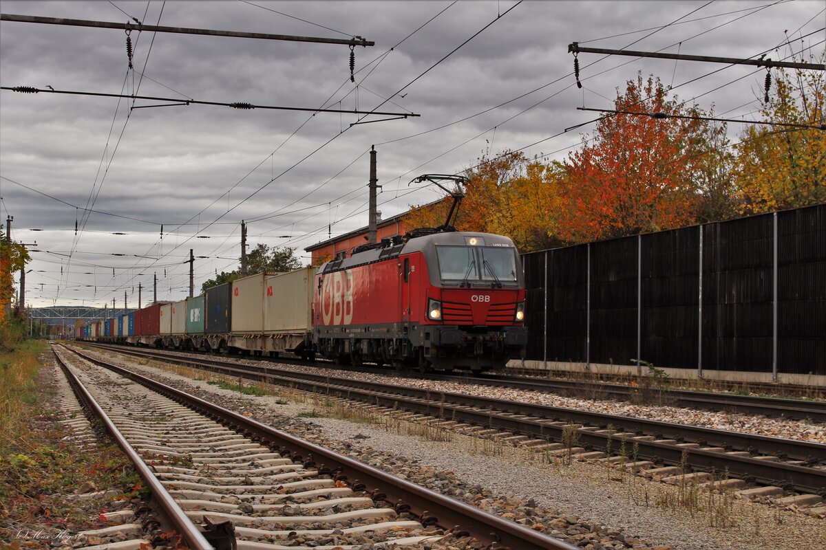 Am 31.10.2023 brachte die 1293 026 den KGAG41600 von Rijeka Brajdica nach Bratislava UNS und steht hier in Oberlaa wo ein Personalwechsel stattfand bevor die Fahrt weiterging.
Fotografiert vom Eisenbahnübergang quer durch den Bahnhof Oberlaa.