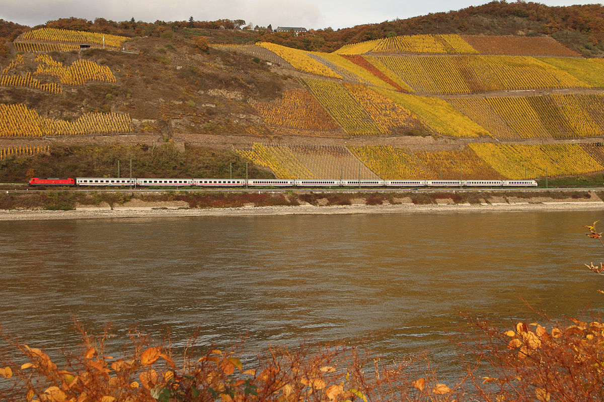 Am 3.11.16 bei Boppard machte das knipsen auch bei Bewölkung Spaß. Schöne Farben in der Herbstzeit an den Hängen des Rheintals.