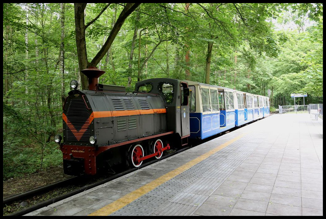 Am 31.5.2019 war dieser Schmalspurzug, hier im Endbahnhof am Zoo in Poznan, auf der Parkbahn Maltanka im Einsatz.
