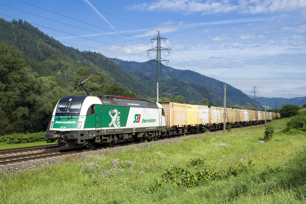 Am 4. August 2016 ist 1216 960 mit einem Hackgutzug in Richtung Gratwein - Gratkorn unterwegs und konnte nahe Mixnitz - Bärenschützklamm auf den Chip gebannt werden. 