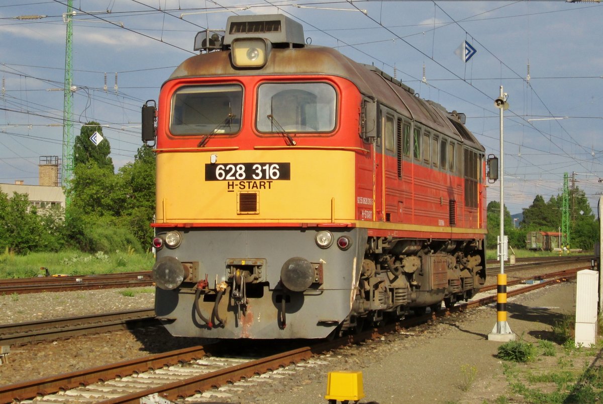 Am 6 Mai 2016 sonnt sich 628 316 in Vác.