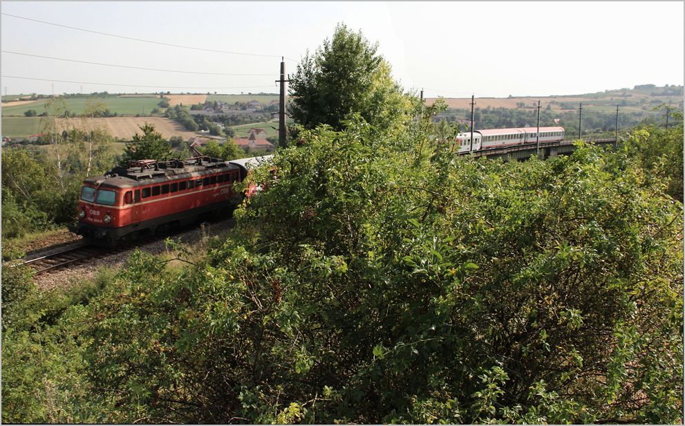 Am 8. August 2013 war die 1142 564 vor REX 2110 (Wien FJB-Gm�nd) eingeteilt. Hier wurde sie kurz nach dem Befahren der Limberger Hangbr�cke aufgenommen. 