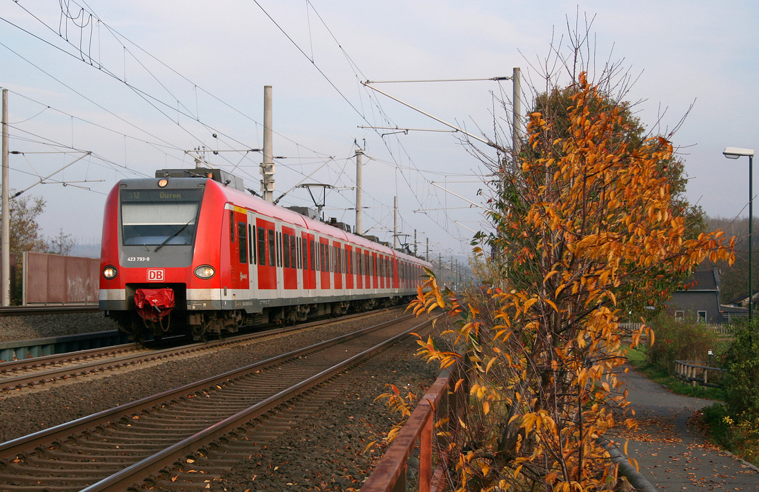 Am 8. November 2011 konnte ich im Bahnhof Sindorf das Doppel aus DB Regio 423 293 + 423 191 dokumentieren.