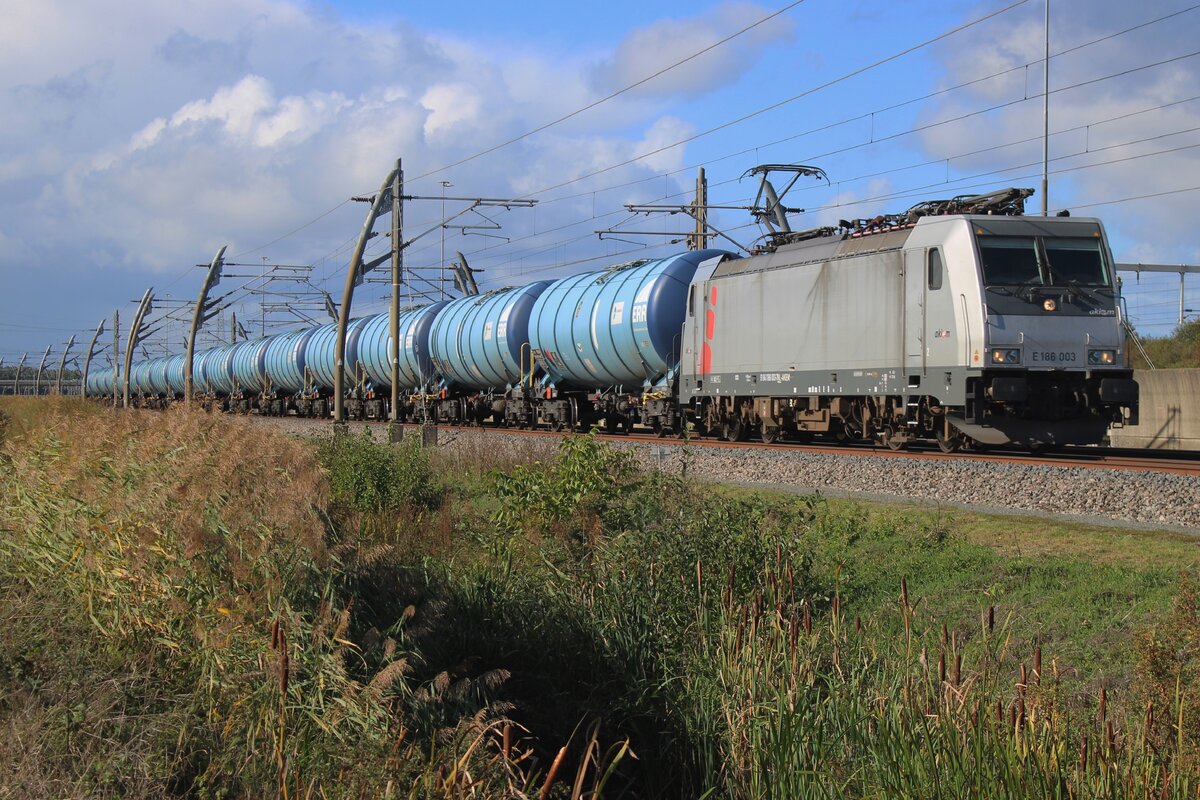 Am 8 Oktober 2026 wird RFO 186 003 mit ein ganz blauer Kesselzug auf den Weg nach Emmerich auf die Betuwelinie bei Valburg fotografiert. Bei Valburg gibt es einer nette 2,5 km langer Weg, der Hoge Brugweg, die der Fotograf nette Fotostellen entlang die Gleise bietet. Zwischen die Gleise und der Hoge Brugweg liegt ein Bechen, der selbstverst�ndlich nicht �berwuert wird.