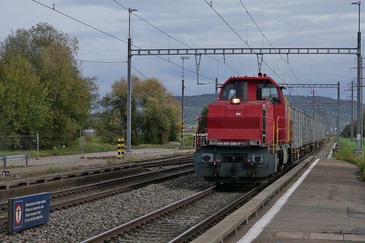 Am 841 028-4 der LPAG zieht die zweite Wagengruppe mit in Bürglen (TG) geladenen Zuckerrüben am 02.11.2022 durch die Station Müllheim-Wigoltingen zur Zuckerfabrik in Frauenfeld