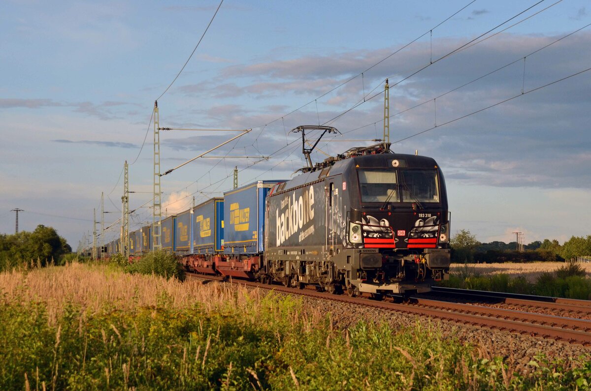 Am Abend des 08.08.21 war 193 318 mit dem Walther-KLV von Rostock bis Verona unterwegs. Im schönen Abendlicht passiert der Backbone Gräfenhainichen Richtung Bitterfeld.