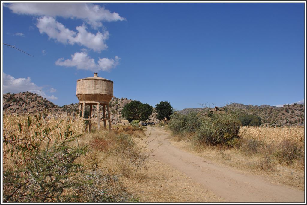 Am Bahnhof von Amba Derho dell Anseba stehen noch mächtige Bäume, die uns während der Mittagsrast willkommenen Schatten gespendet haben. (02.12.2014)