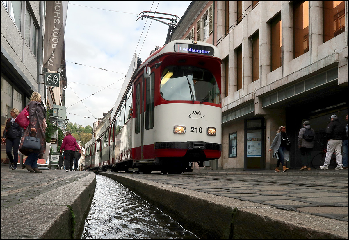 Am Freiburger Bächle -

Eine GT8N-Straßenbahn auf der Linie 1 in der Bertoldstraße.

07.10.2019 (M)