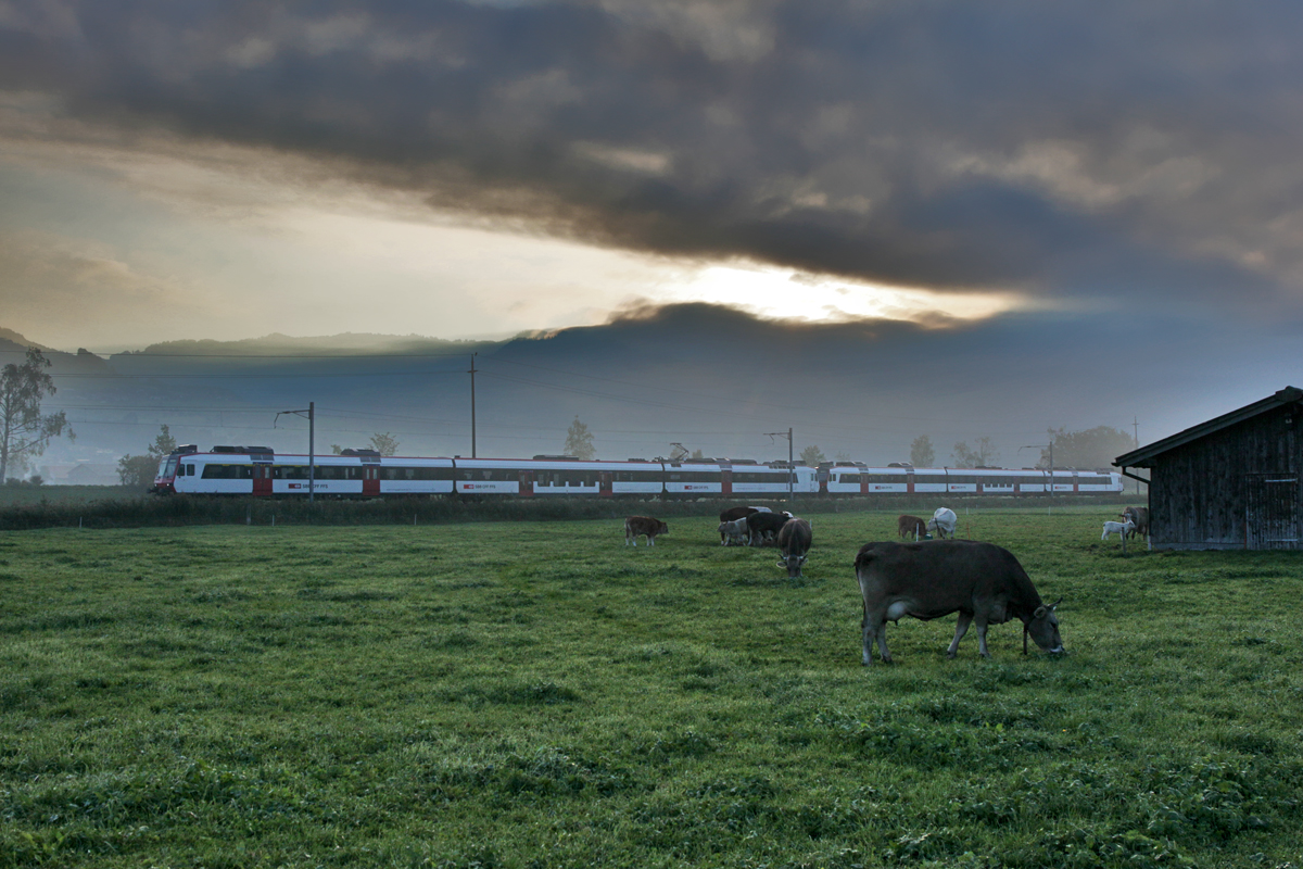Am frühen nebligen Morgen fährt die S6 in Uznach vorüber.Bild vom 30.9.2014