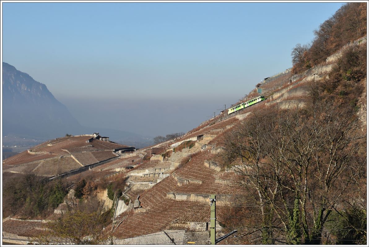 Am gegenüberliegenden Hang steigt ein Zug der ehemaligen Aigle-Leysin Bahn steil die Weinberge hinauf. BDeh 4/4 312 + Bt362. Im Hintergrund ist die Nebelwand über dem Genfersee zu sehen. (14.12.2016)