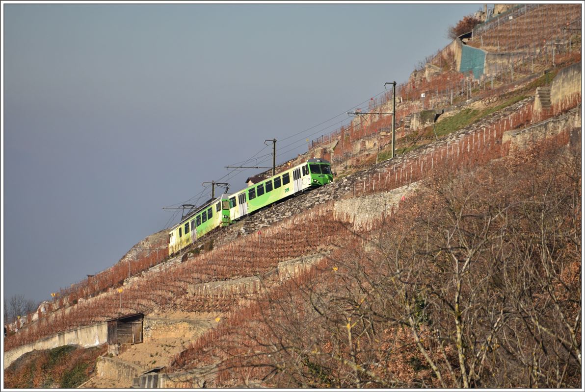 Am gegenüberliegenden Hang steigt ein Zug der ehemaligen Aigle-Leysin Bahn steil die Weinberge hinauf. BDeh 4/4 312 + Bt362. (14.12.2016)
