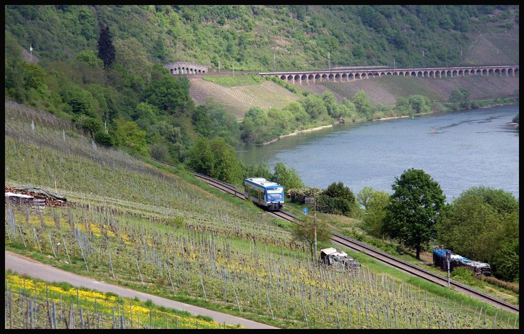 Am Hang der Weinberge am Ortsrand von Reil ist hier am 29.04.2018 um 12.15 Uhr die Moselweinbahn nach Bullay unterwegs. Im Hintergrund ist die Hauptstrecke Trier Koblenz mit dem Pündericher Viadukt zu sehen.