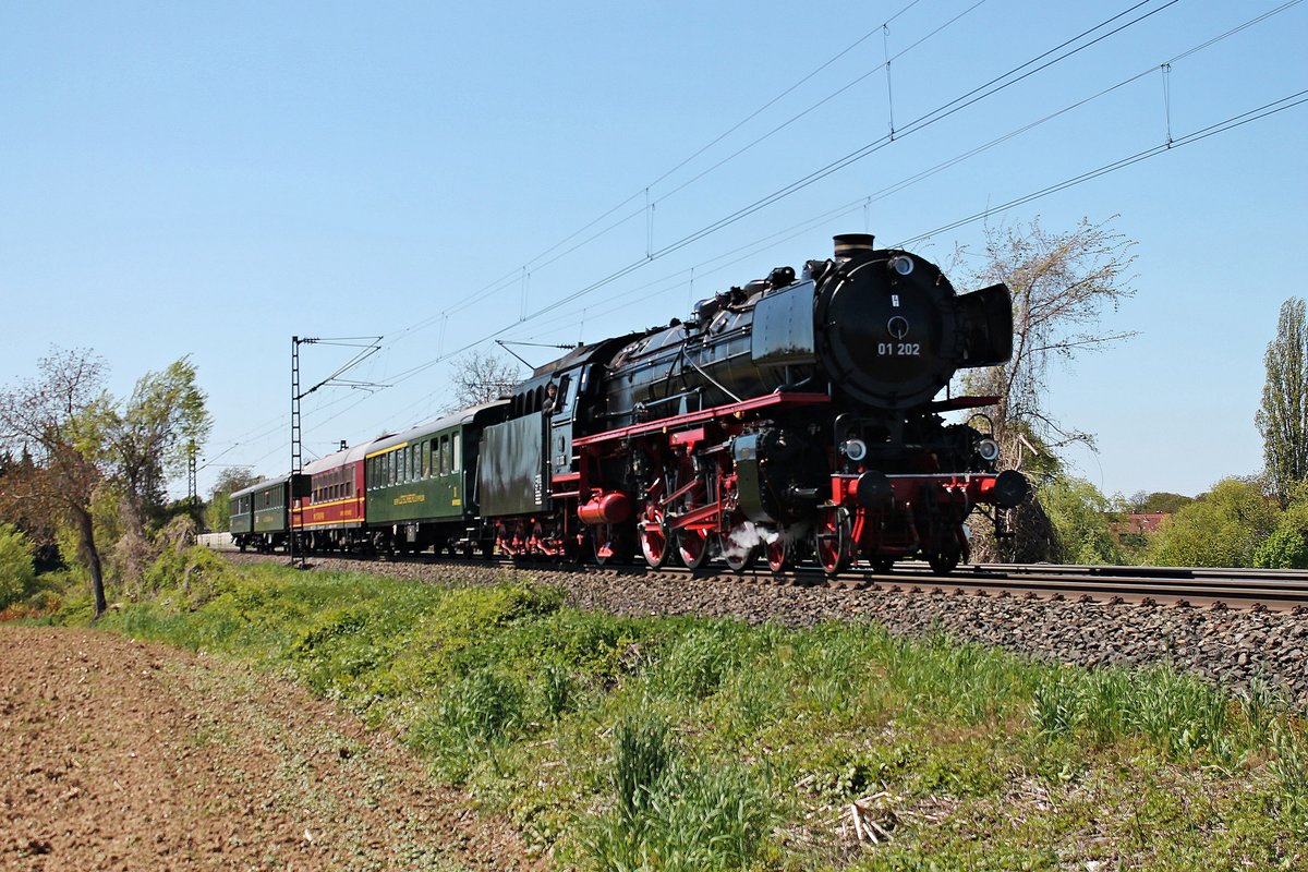 Am heutigen Vatertag (05.05.2016) fuhr die 01 202 vom Verein Pacific mit dem DPE 5953 (Liestal - Neustadt (Weinstraße)). Hier ist die wunderschöne Lok auf dem Weg nach Freiburg (Breisgau), als sie bei Scherzingen an den zwei Fotografen vorbei fuhr.