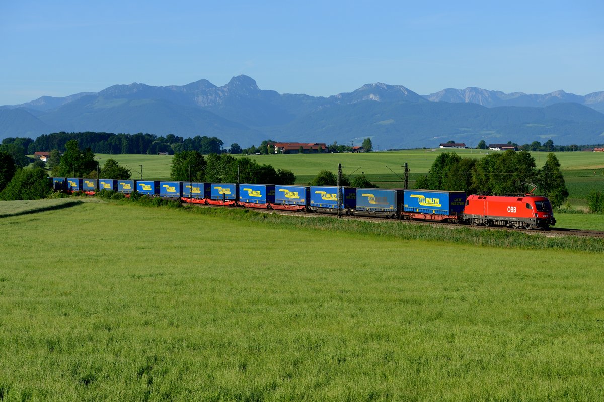 Am Morgen des 08 Juni 2017 konnte ich bei Haus noch diesen KLV-Zug, einheitlich mit Aufliegern der Spedition LKW Walter beladen und gezogen von 1116.120, aufnehmen. An diesem Tag war die Fernsicht aufgrund der klaren Luft ungetrübt und ermöglichte einen schönen Blick auf den Wendelstein.