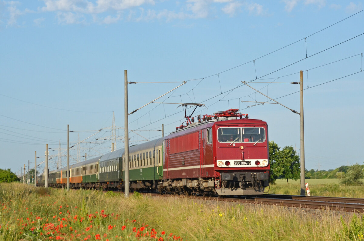 Am Morgen des 14.06.25 bespannte 250 004 vom bahnbetrieb Gera einen Sonderzug von Leipzig nach Warnemünde. Hier passiert er auf dem Weg Richtung Magdeburg soeben Braschwitz.