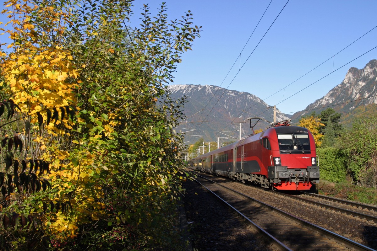Am Morgen des 24.10.15 fährt 1116.224 als RJ-533 bei Payerbach bergwärts.