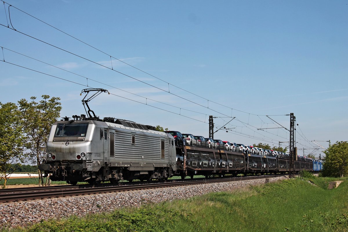 Am Morgen des 29.04.2018 fuhr AKIEM/CCW BB 37028 mit einem Peugeot-Autozug (Trnava - Mulhouse) bei Hügelheim durchs Rheintal in Richtung Müllheim (Baden), wo sie dann in Richtung Neuenburg (Baden)/Frankreich abbiegen wird.