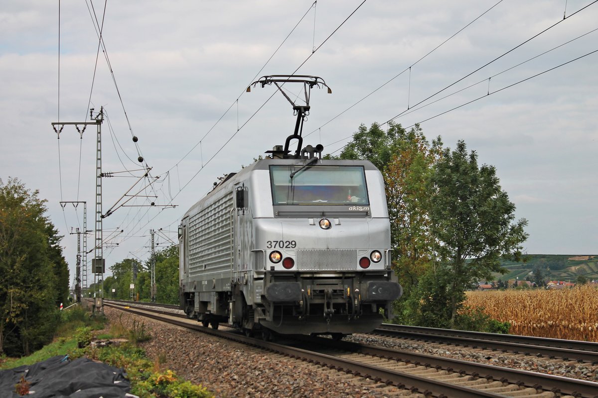 Am Nachmittag des 04.09.2018 fuhr AKIEM/CTD BB 37029 als Lokzug zum Peugot-Werk Mulhouse, um dort einen Autotransportzugnach Trnava zu bespannen, als diese nördlich von Müllheim (Baden) in Richtung Neuenburg (Baden).