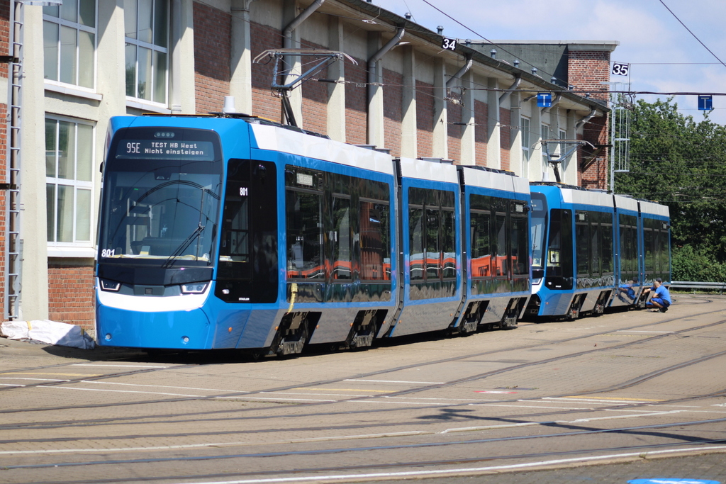 Am Nachmittag des 18.07.2025 trauten sich beide Tina auf dem Gelände der Rostocker Straßenbahn AG raus. 