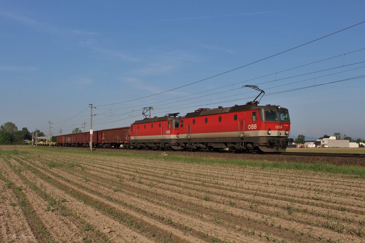 Am sonnigen Morgen des 23.5.2023 brachten die 1144 102 und die 1144 090 den DG54072 von Graz Vbf nach Wien Zvb und warten hier in Ebenfurth auf die Kreuzung mit einem Regionalzug.