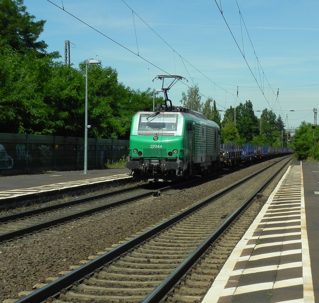 Am Sonntag kam die Akiem 37044 mit einem kurzen Güterzug durch Königswinter gefahren.

Königswinter 14.06.2015