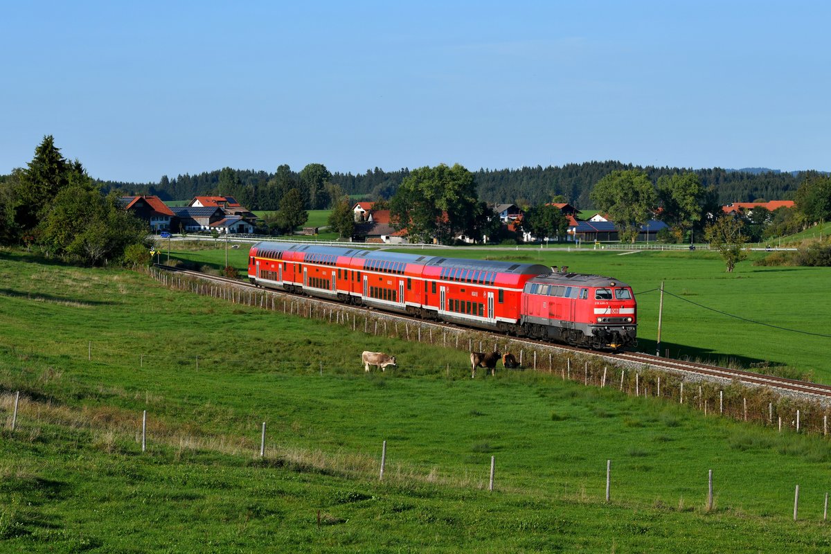 Am späten Nachmittag des 20. September 2018 verfolgten bei Lengenwang nicht nur zwei Fotografen, sondern auch drei Kühe gespannt die Vorbeifahrt des von 218 446 geführten RE 57512 nach Füssen. 