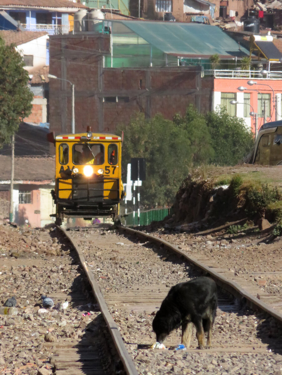 Am Vortag unserer Fahrt mit dem Zug von Cusco nach Puno bot sich die Gelegenheit, diesen Zug bei der Ausfahrt in Cusco zu fotografieren. Voraus fuhr die Draisine Nr. 57. Den Hund interessiert das Ganze (noch) nicht. Cusco, 17.7.2015
