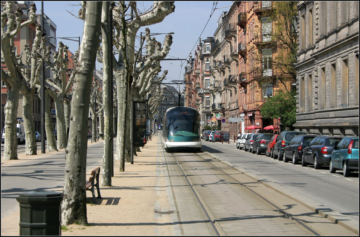 An den Alleebäumen entlang -

Die Straßenbahngleise im Boulevard de la Victoire (Linie C) wurden auseinander gezogen um in Straßenmitte Platz zu lassen, für Bäume und einen breiten Geh- und Radweg. Hier an der Haltestelle Université.

Straßburg, 21.04.2006 (M)