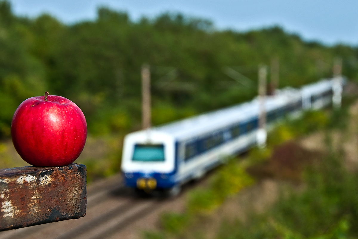  An apple a day keeps the doctor away  - Unter diesem Motto entstand die Aufnahme der S - Bahn 23568 nach Gnserndorf, kurz vor der Haltestelle in Silberwald am 25.09.2013.