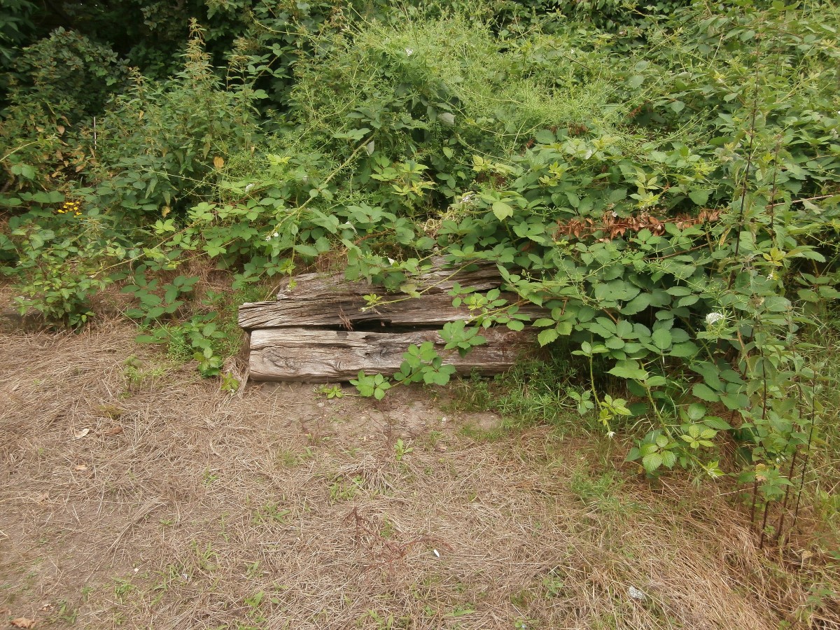 An ein paar Schrebergärten am ehemaligen Anschlussgleis in Krefeld Uerdingen fand ich ein paar alte Holzschwellen. Vermutlich stammen sie noch vom Anschlussgleis.

Krefeld Uerdingen 22.06.2014