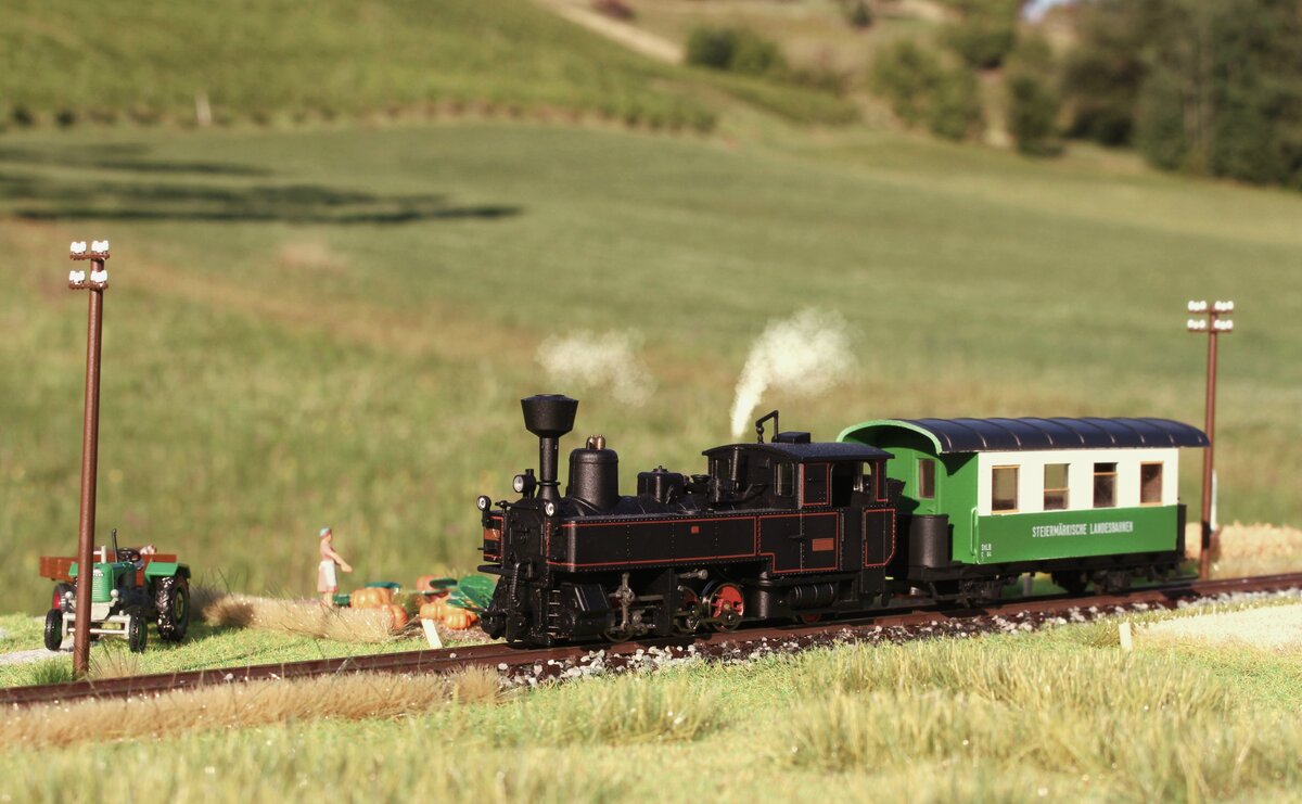 An einem lauen Sonntag im Spätsommer 1981 bereitet Familie Mörth gerade die Kürbisernte vor während die U43 der Wildbacher Lokalbahn mit dem FW11 von Frauental-Bad Gams kommend in die Haltestelle Geipersdorf-Wildbachberg einfährt.
Für das geringe Fahrgastaufkommen reicht ein einzelner Zweiachser womit die kleine U wenig Mühe hat.

Bild vom 3.8.2022