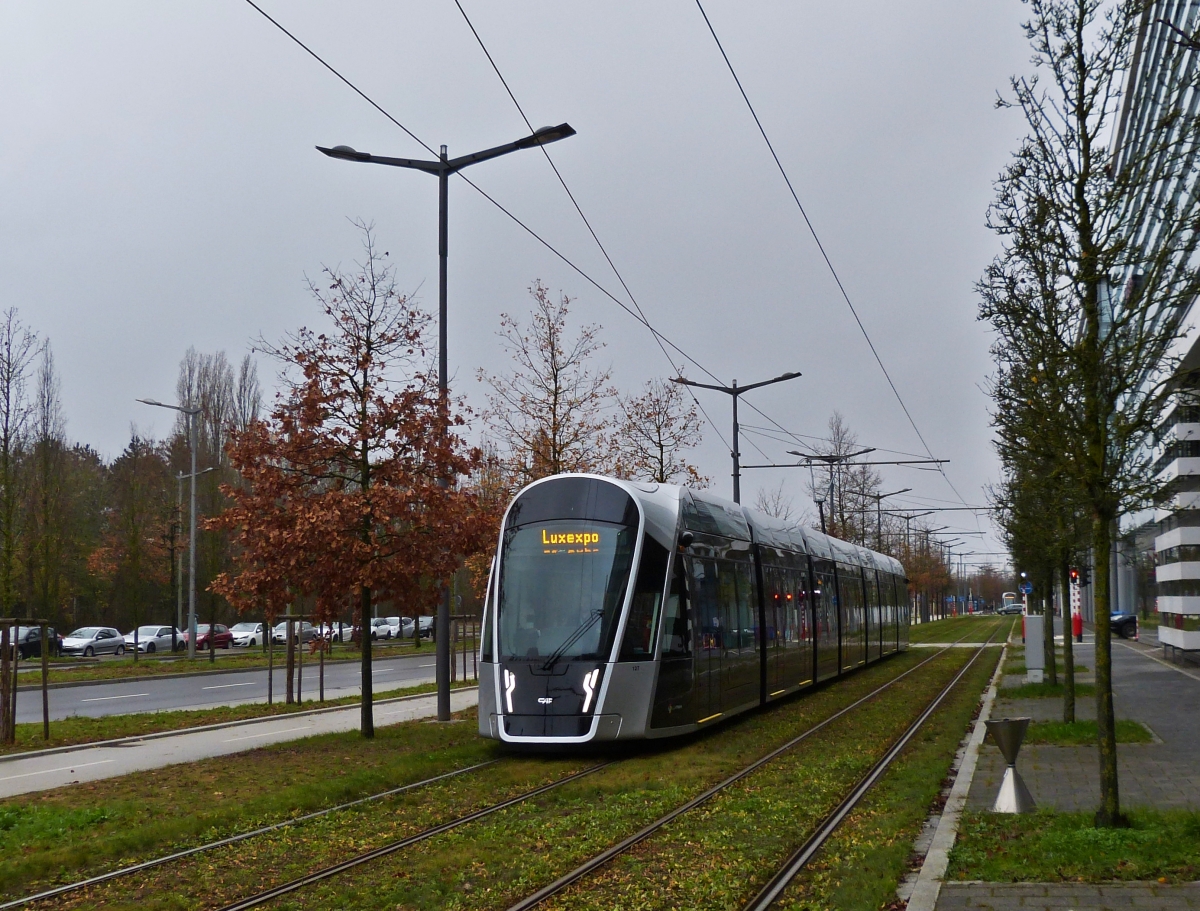 An einem der letzten mit Herbstlaub behangenen Bäume fährt die Straßenbahn 127 der Endhaltestelle „Luxepo“ entgegen. 16.12.2020