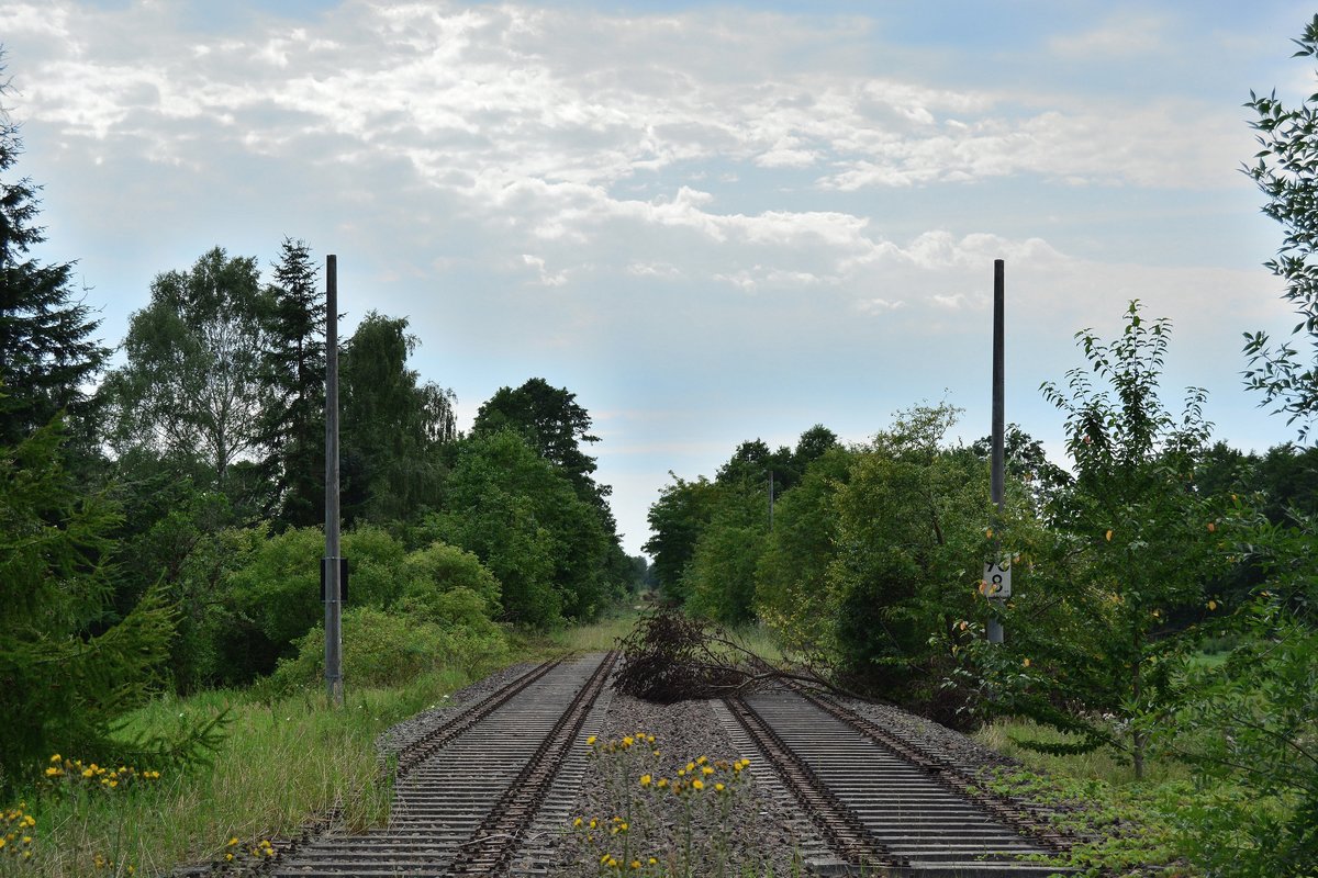 An einigen Stellen stehen noch Masten auf der seit 2004 stillgelegten Kanonenbahn. 1992 wurde die Strecke ab Nedlitz bis Güterglück 2 Gleisig ausgebaut und 1 Jahr später elektrifiziert. Nur knapp 10 Jahre später wurde die Strecke 2004 stillgelegt und wird teilweise zurück gebaut.

Deetz 01.08.2017