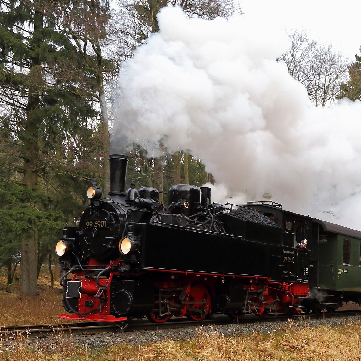 An den Geräuschpegel einer mit Volldampf fahrenden Lok muß sich der kleine  Heizer  wohl erst noch gewöhnen! ;-) (Schnappschuß im Rahmen einer IG HSB-Sonderzugveranstaltung, aufgenommen am 06.02.2016 kurz vor dem Bahnhof Drei Annen Hohne)