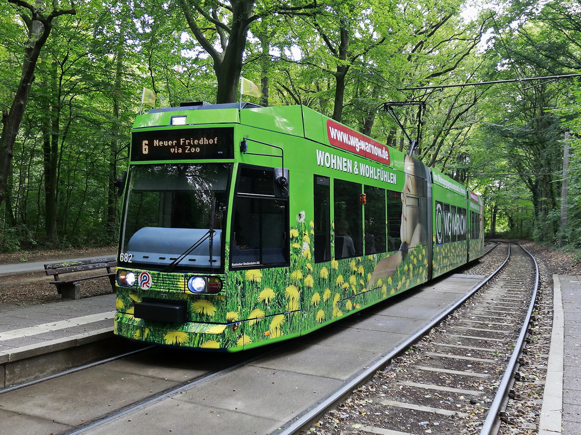 An der Haltstelle Dr. Lorenz-Weg  in Rostock durchfährt Wagen 682 der Rostocker Straßenbahn mit der Linie 6 den Tiergarten am 28. August 2018.

