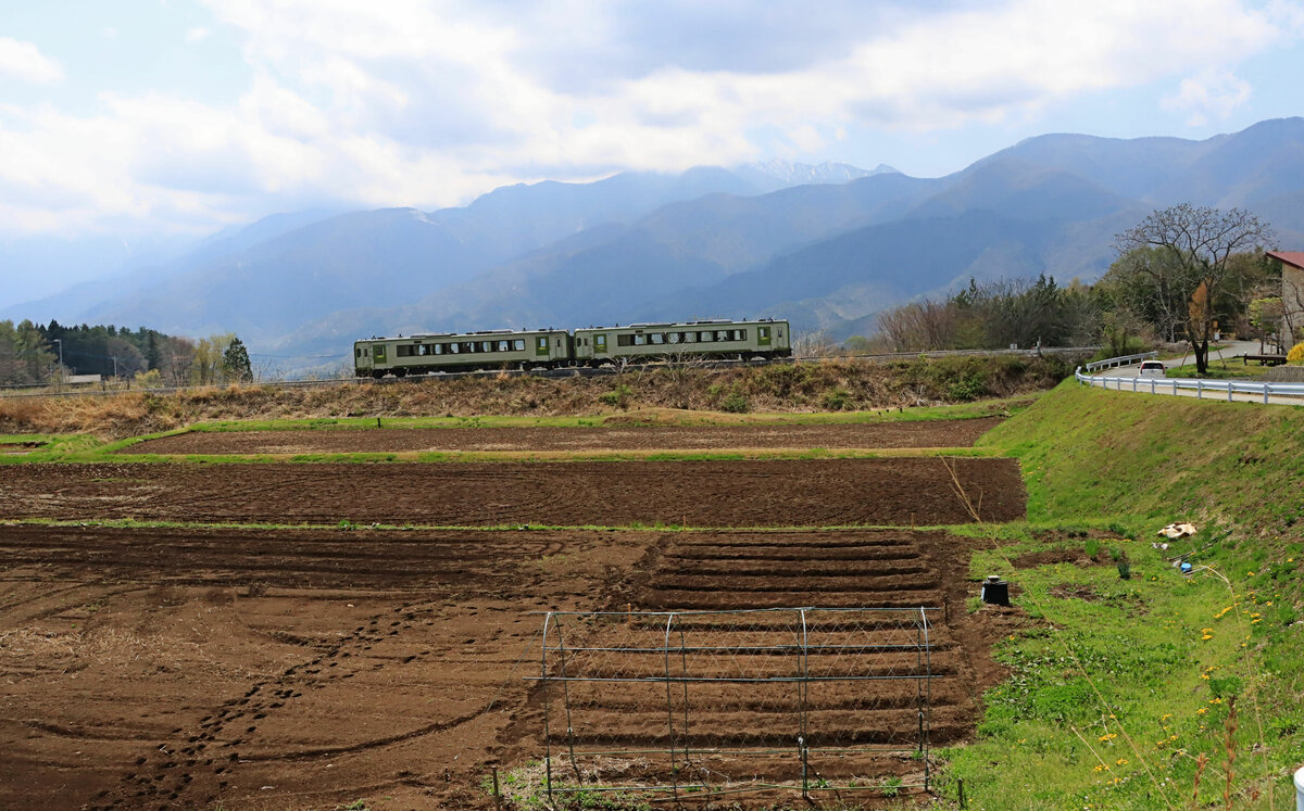 An der höchstgelegenen Bahn Japans: Die Triebwagen KIHA 110-121 und -112 erklimmen den Berg oberhalb Kobuchizawa, 20.Apüril 2022 