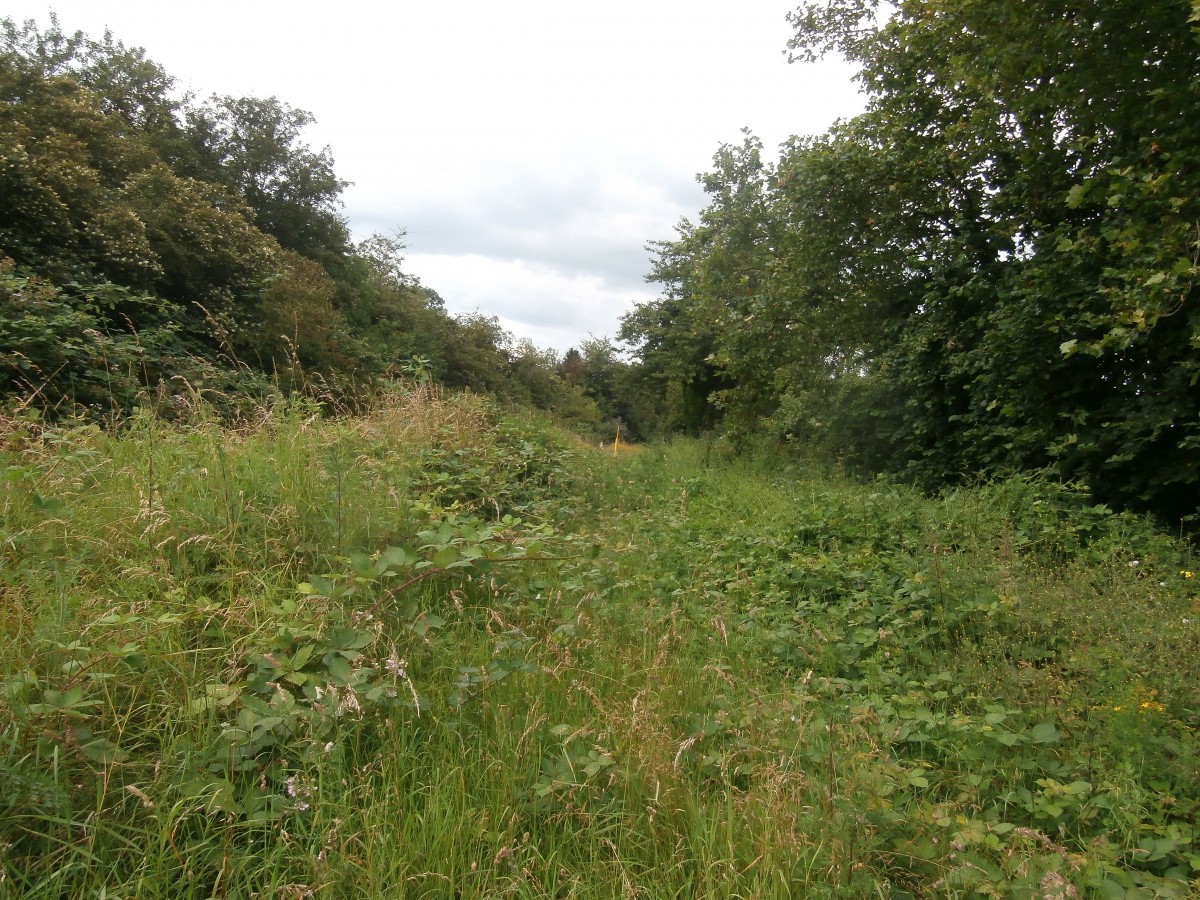 An einer kleinen Seitenstraße ist das ehemalige Anschlussgleis schon gut zugewachsen. Direkt neben dem ehemaligen Gleis führt der Trampelpfad weiter.

Krefeld Uerdingen 22.06.2014
