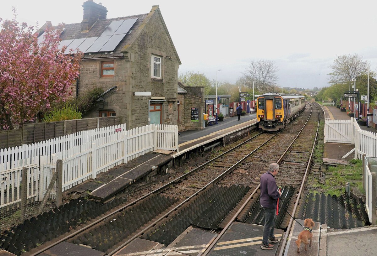 An der Lancaster - Morecambe Linie: Zug 156 403 der  Northern  an der Haltestelle Bare Lane, 15.April 2026 