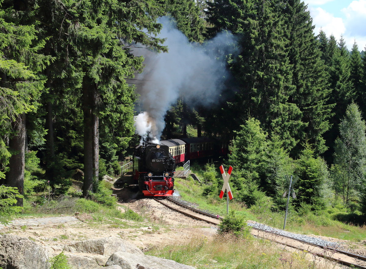 An meiner Lieblingsfotostelle der Brockenbahn, an der alten Bobbahn, dampft 99 7241 mit dem P8920 (Nordhausen Nord - Brocken) den Brocken hinauf.

Brocken, 06. August 2017