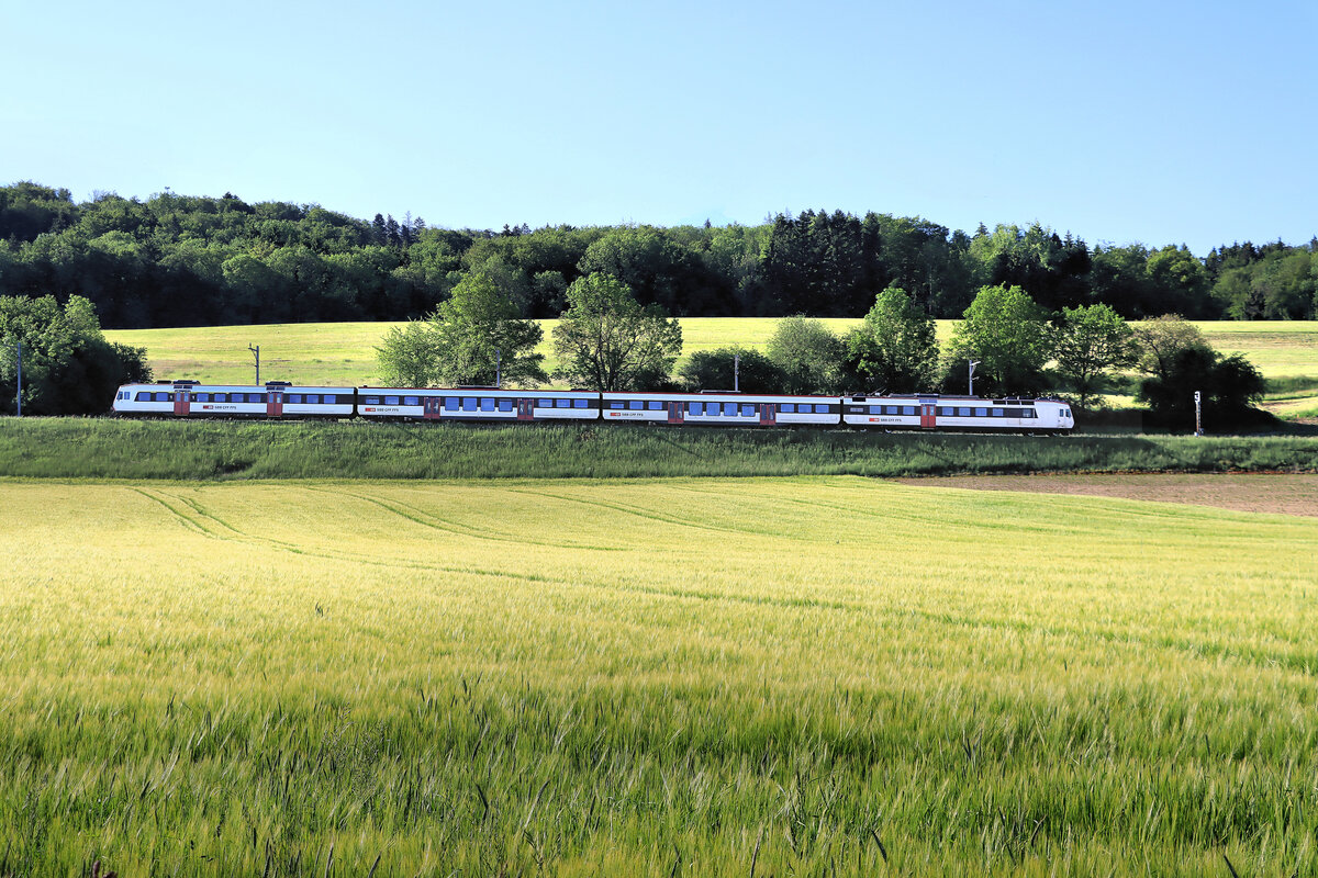 An der Querverbindung von Fribourg über den Pass ins Broyetal nach Payerne (Linie RER S30, Réseau express regional fribourgeois): In sommerlicher Landschaft kommt ein NPZ Domino-Zug Richtung Payerne von der Passhöhe herunter nach Léchelles. Die Fahrzeuge sind RBDe 560 242 - Domino Zwischenwagen B 20-43 042 und 29-43 152 - Steuerwagen 39-43 812. 1.Juni 2021 