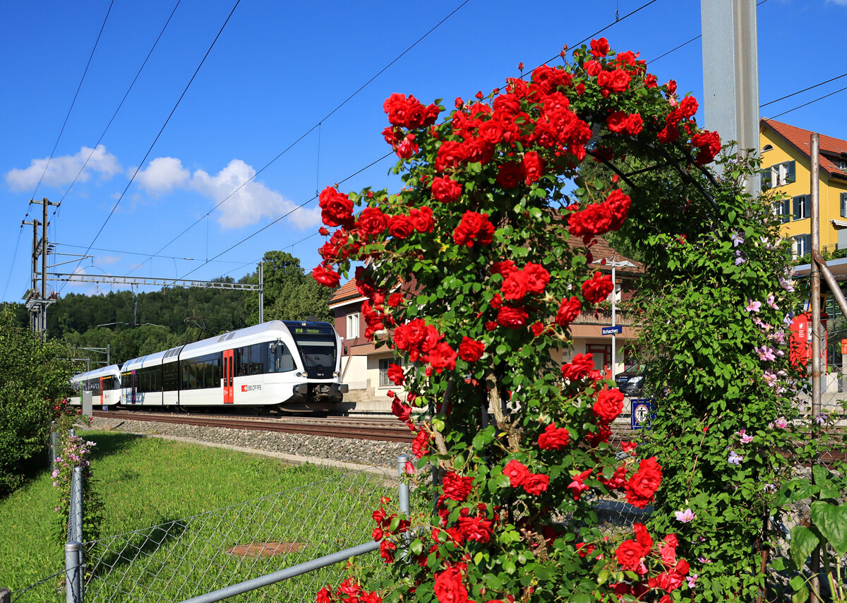 An der S2 der S-Bahn St.Gallen (Altstätten SG - St.Gallen - Wattwil - Nesslau Neu St.Johann): Zwischen St.Gallen und Wattwil halten zwei Thurbo GTW (GTW 2/6 724 + GTW 2/8 782) in Schachen, 9.Juli 2021 