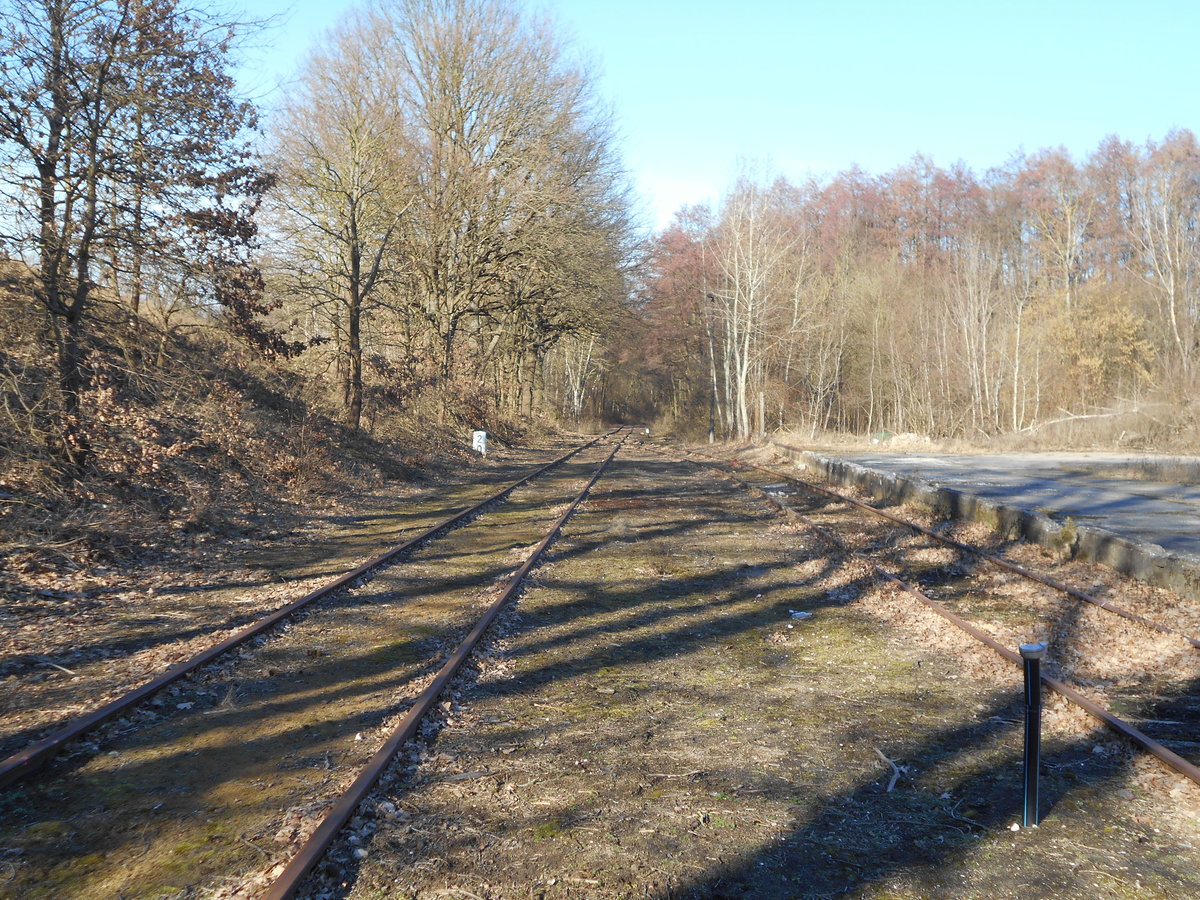 An der Strecke zum Neustrelitzer Hafen liegt diese nicht mehr genutzte Ladestelle Useriner Straße.Links das Streckengleis zum Hafen.Aufnahme vom 16.Februar 2019.