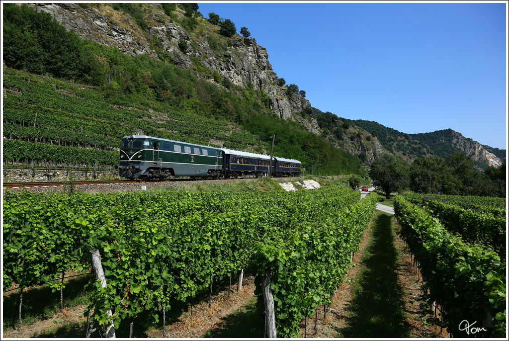 An der Weinbergen in der Wachau vorbei, fhrt 2050.05 mit dem Wachauer Themenzug von Krems an der Donau nach Emmersdorf.
Weienkirchen 15.8.2013 