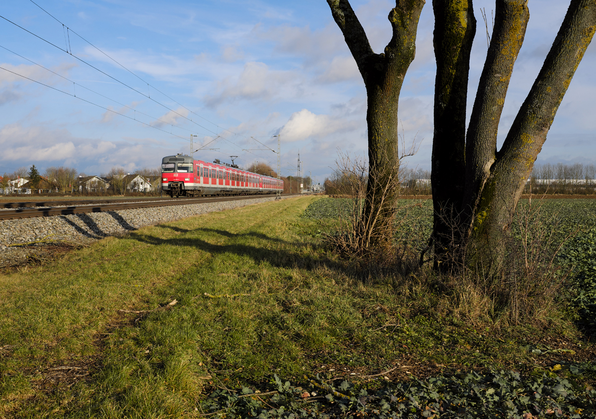 An Wochenenden (Sa+So) werden Triebzüge der BR 420.4 planmäßig auf der S2 Erding - Petershausen / Altomünster eingesetzt.

Das Bild mit 420 960-7 entstand zwischen Grub (Oberbay) und Heimstetten. Man erkennt, daß die Stationen Erding, Petershausen und Altomünster nicht in der Software des Zugzielanzeigers der Fahrzeuge vorhanden sind und somit eine Fahrtziel-Tafel im Führerstand zum Einsatz kommt.
  
