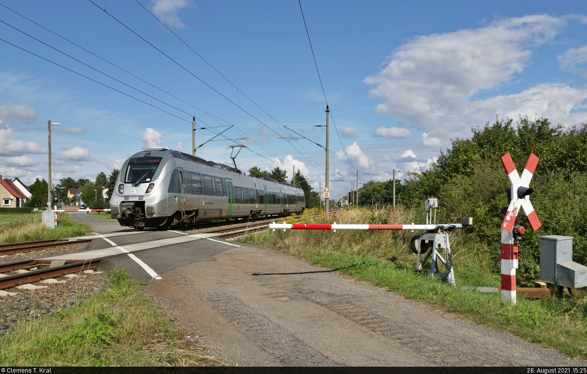 Andere Seite des Bahnübergangs:
1442 607 (Bombardier Talent 2) unterwegs in Mockrehna, Wurzener Straße.

🧰 S-Bahn Mitteldeutschland (DB Regio Südost)
🚝 S 37445 (S4) Falkenberg(Elster)–Markkleeberg-Gaschwitz
🚩 Bahnstrecke Halle–Cottbus (KBS 219)
🕓 28.8.2021 | 15:25 Uhr