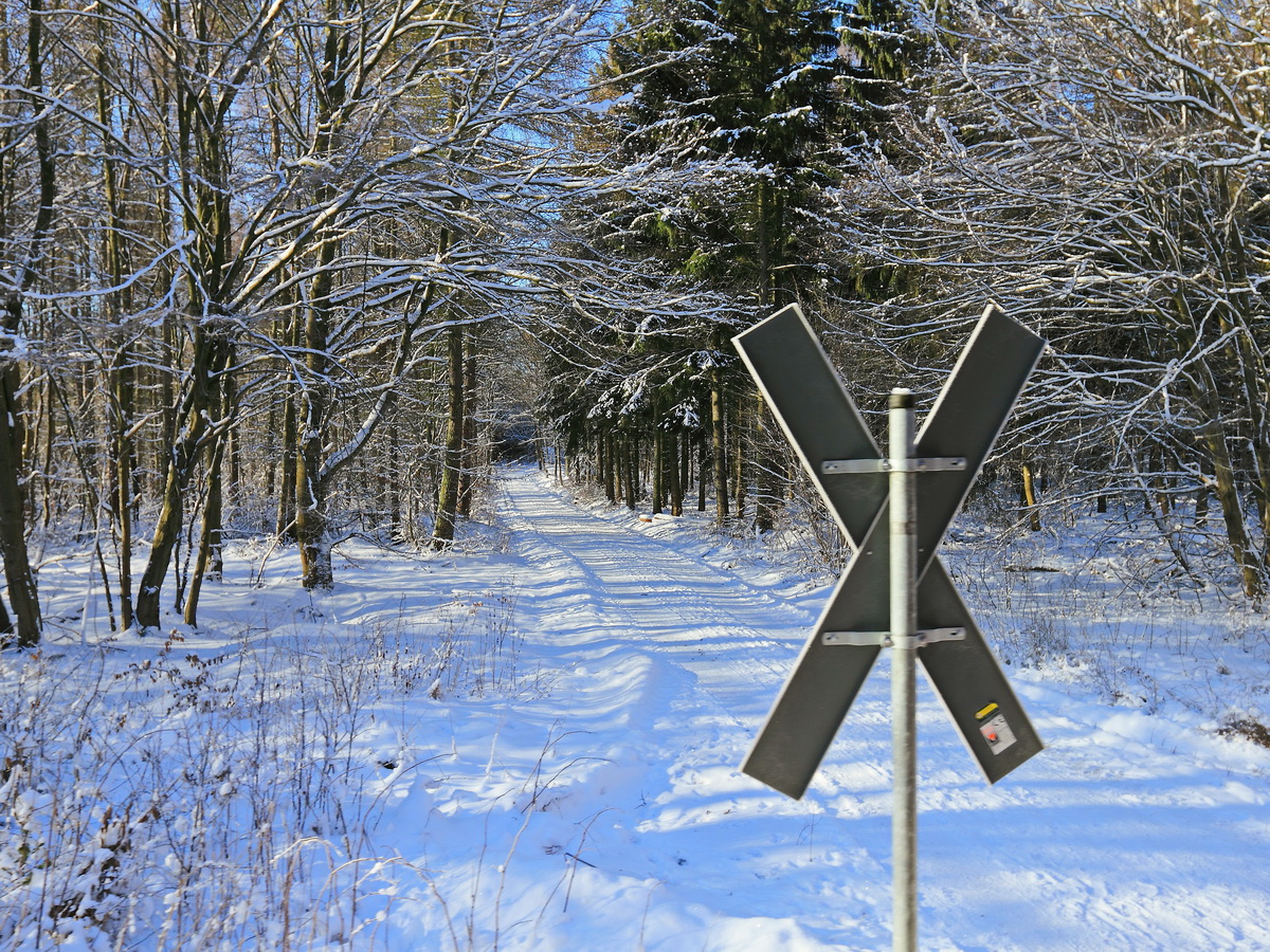 Andreaskreuz an einer Kreuzung eines Weges auf der Strecke der Harzer Schmalspurbahn bei Sternhaus am 22. Januar 2017, gesehen vom Zug aus.