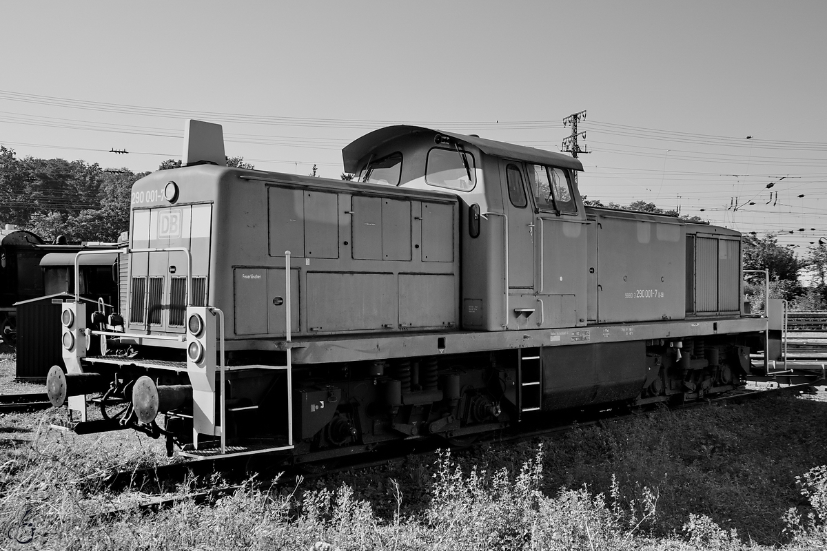 Anfang September 2021 war im Eisenbahnmuseum Koblenz die Diesellokomotive 290 001-7 zu sehen.