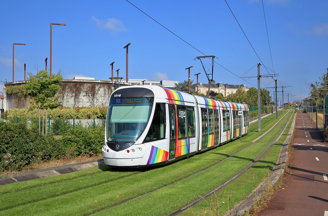 Angers 1006, Rue Haute de Reculée, 01.09.2021.