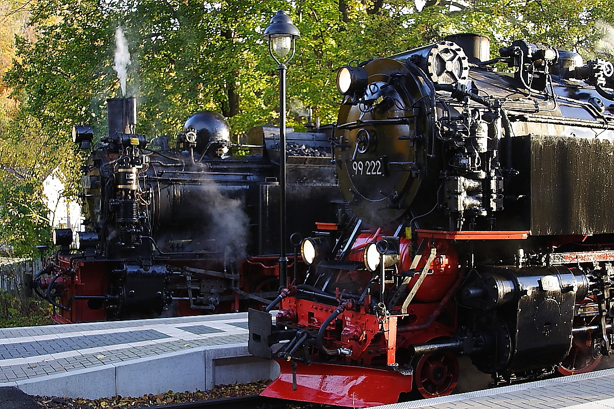 Angetreten zum Schönheitswettbewerb: Zwei  Schwarznasen  im Haltepunkt Wernigerode-Hasserode! Vorn 99 222 mit dem Foto-Güterzug der HSB und hinten 99 6101 mit einem Sonderzug der IG HSB nach Eisfelder Talmühle. Beide Züge verkehrten am 19.10.2013 im Rahmen eines dreitägigen Sonderzugprogramms der IG HSB unter dem Motto  Schmalspur-Romantik im Oktober .
